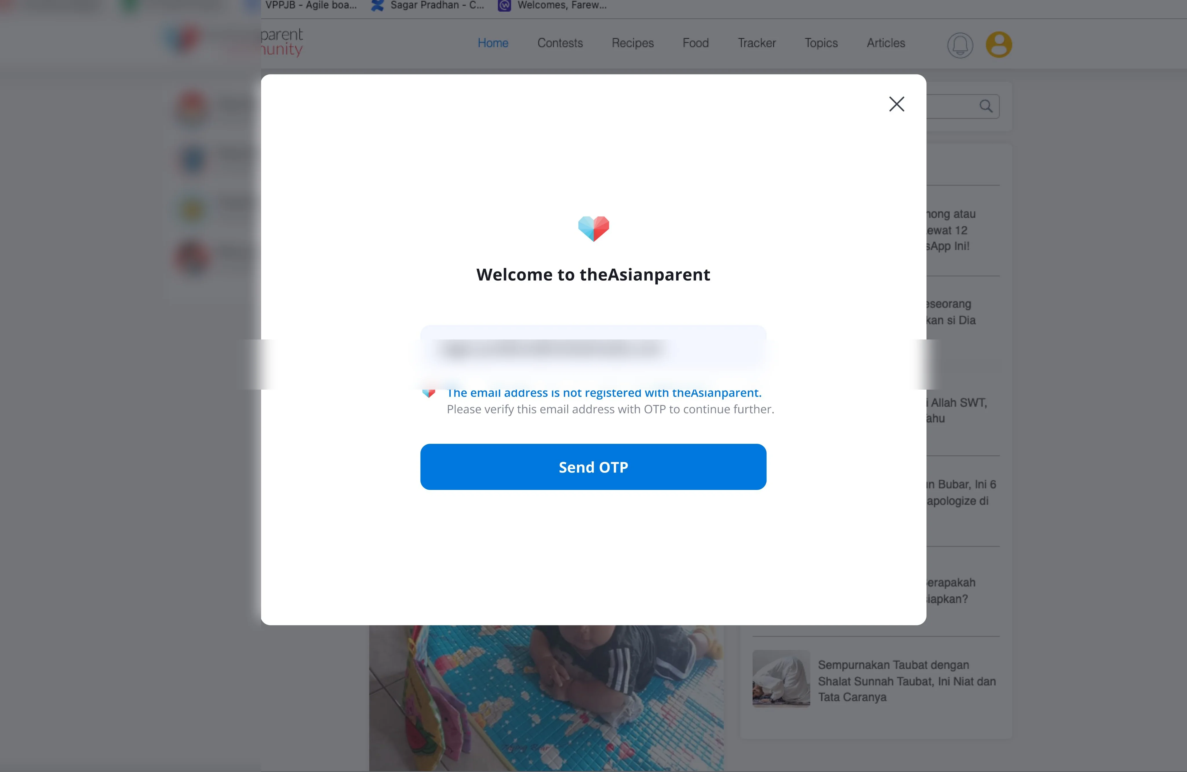 Web email verification modal